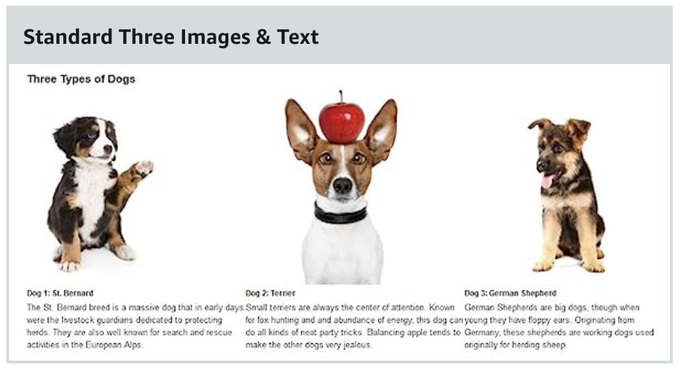 Amazon A+ Content Three Images and Text