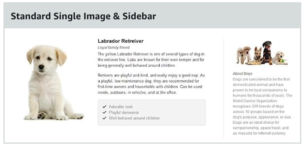 Amazon Single Image and Sidebar A+ Content KDP