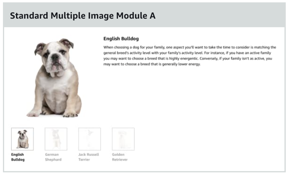 Standard Multiple Image Module A